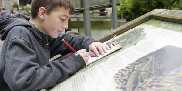 Child completing a YHA geography package task