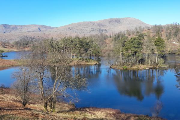 Tarn Hows