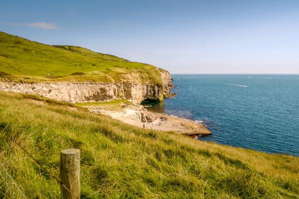Jurassic Coast clifftop, Swanage