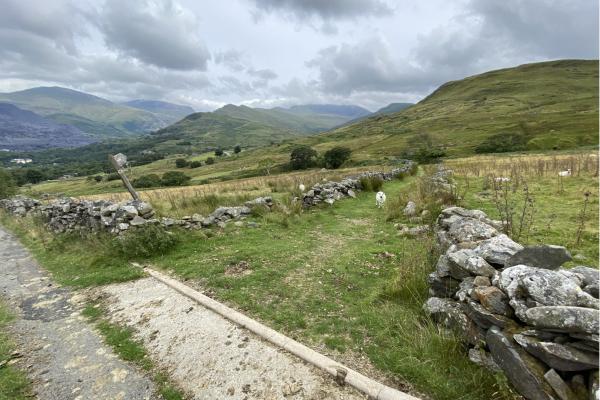Foel Goch and Moel Eilio