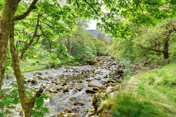 YHA Borrowdale local river