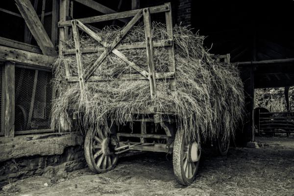 Historic hay wagon in barn