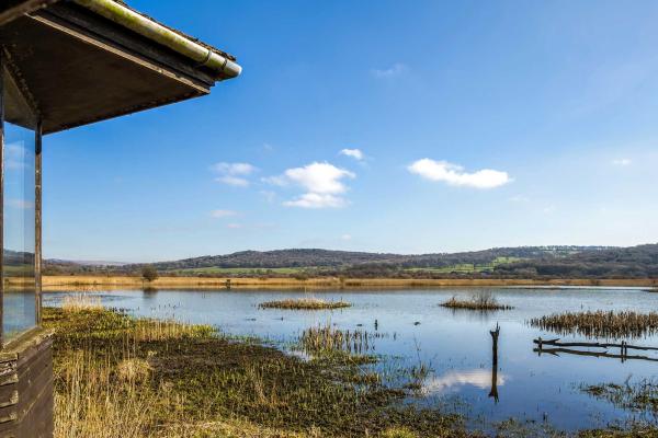 Leighton Moss RSPB reserve