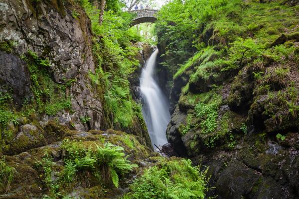 View of Aira Force Waterfalls