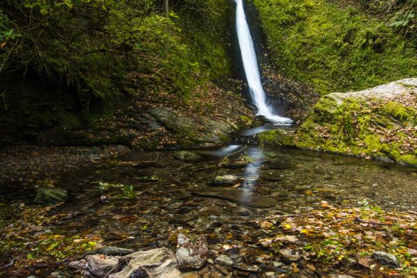Lydford Gorge