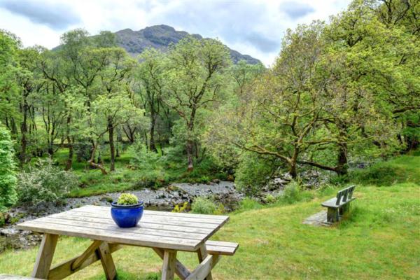 bench-overlooking-scenic-countryside