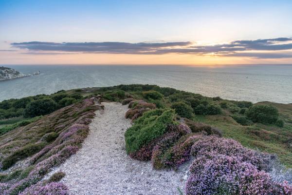 Headon Warren at sunset, near Totland