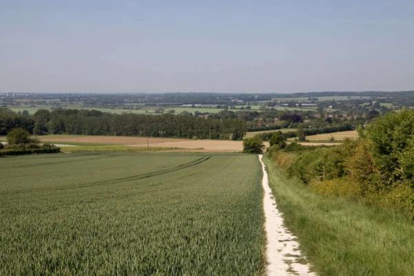 View of a field in the countryside