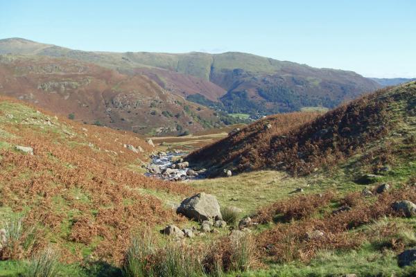 Central Lake District view