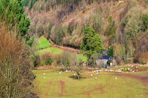 YHA Brecon Beacons Danywenallt view