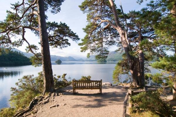 Friar's Crag view