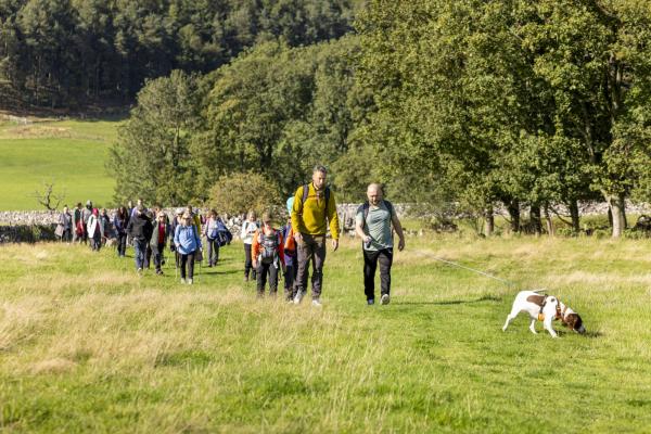 Group of people and dog walking