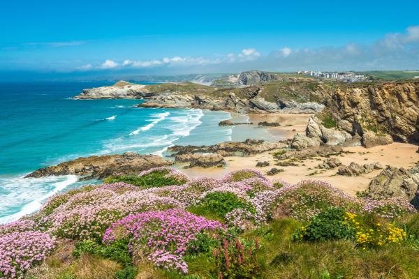 coastal bay on a sunny day