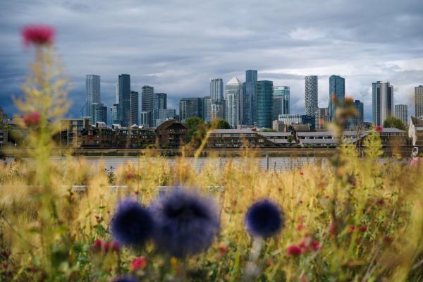 City skyline with fields in forefront of image