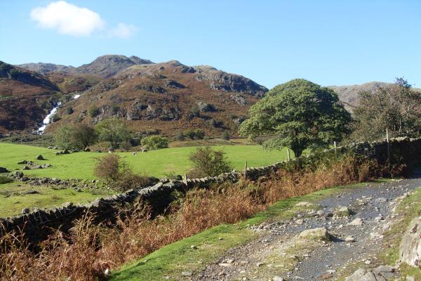 Lake District view, near Ambleside
