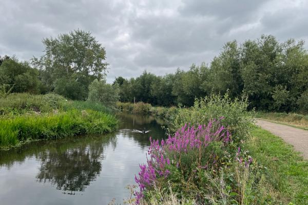 social-walk-from-yha-london-lee-valley-yha