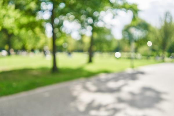 Blurred image of a park