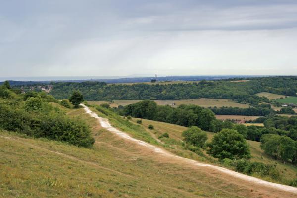South Downs landscape view