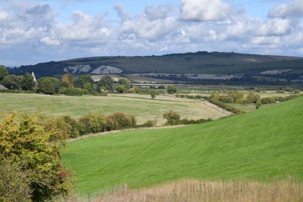 South Downs local area