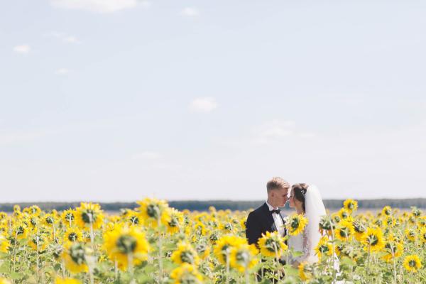 Bride and groom in a field of sunflowers