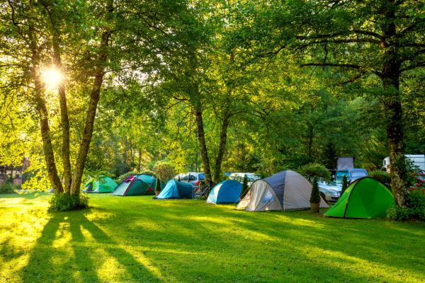Camping in Surrey