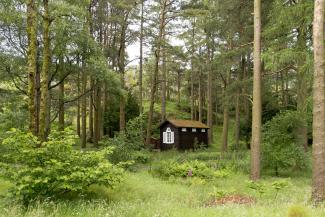 Wooden hut in a forest