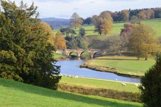 Chatsworth grounds in Autumn