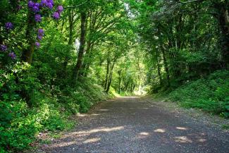 Camel trail cycle path in Cornwall