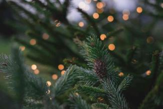 Christmas tree with lights and pinecones Christmas tree with lights and pinecones