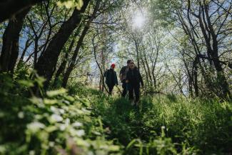 Friends hiking through a forest