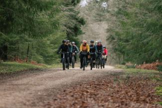 Group of cyclists on a road surrounded by trees