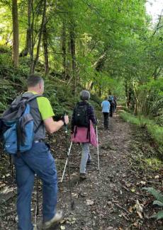 Group of people walking up a trail in a woodland