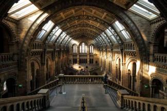 Natural History Museum London Natural History Museum London