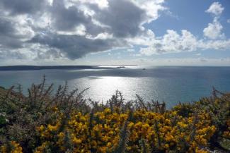 Pembrokeshire Coastal Path near Broad Haven Pembrokeshire Coastal Path near Broad Haven