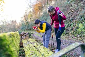 People in nature taking a photo of moss