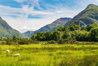 Snowdon view