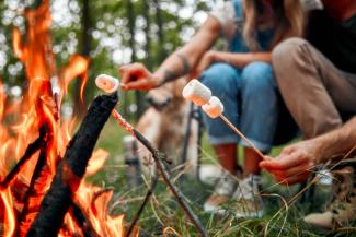 people toasting marshmallows around a campfire