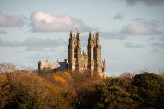 Grand cathedral building emerging from trees