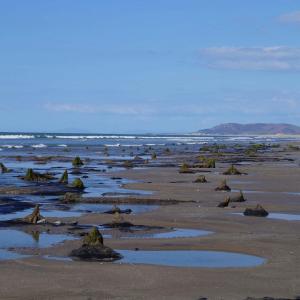 YHA Borth beach