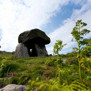 YHA Rowen Local Area