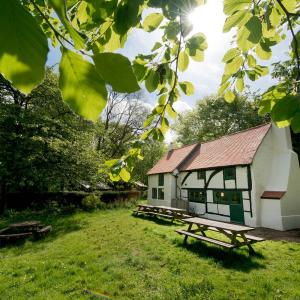 Garden and picnic tables