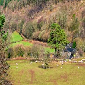 YHA Brecon Beacons Danywenallt view