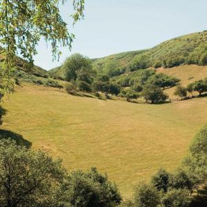 YHA All Stretton Bunkhouse view