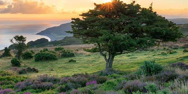 View of somerset