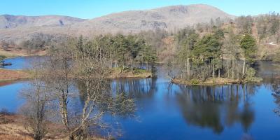 Tarn Hows
