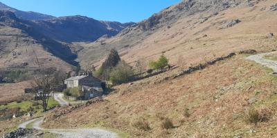 Coppermine's Valley