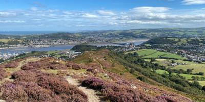 Conwy countryside on a sunny day