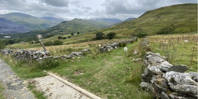 Foel Goch and Moel Eilio