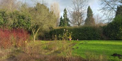YHA Leominster garden
