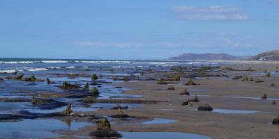 YHA Borth beach